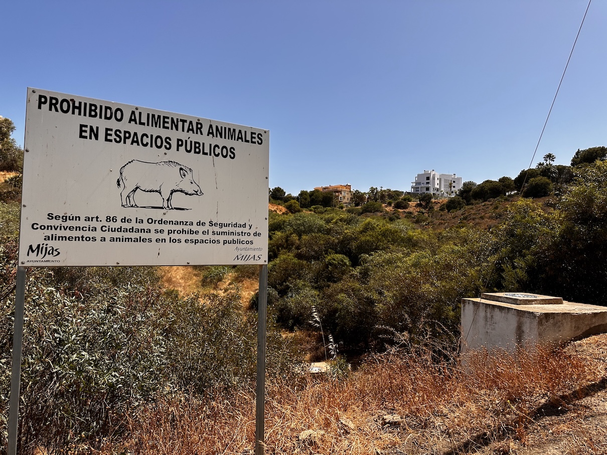 New EU Entry/Exit System (EES): How It Changes Travel to Spain