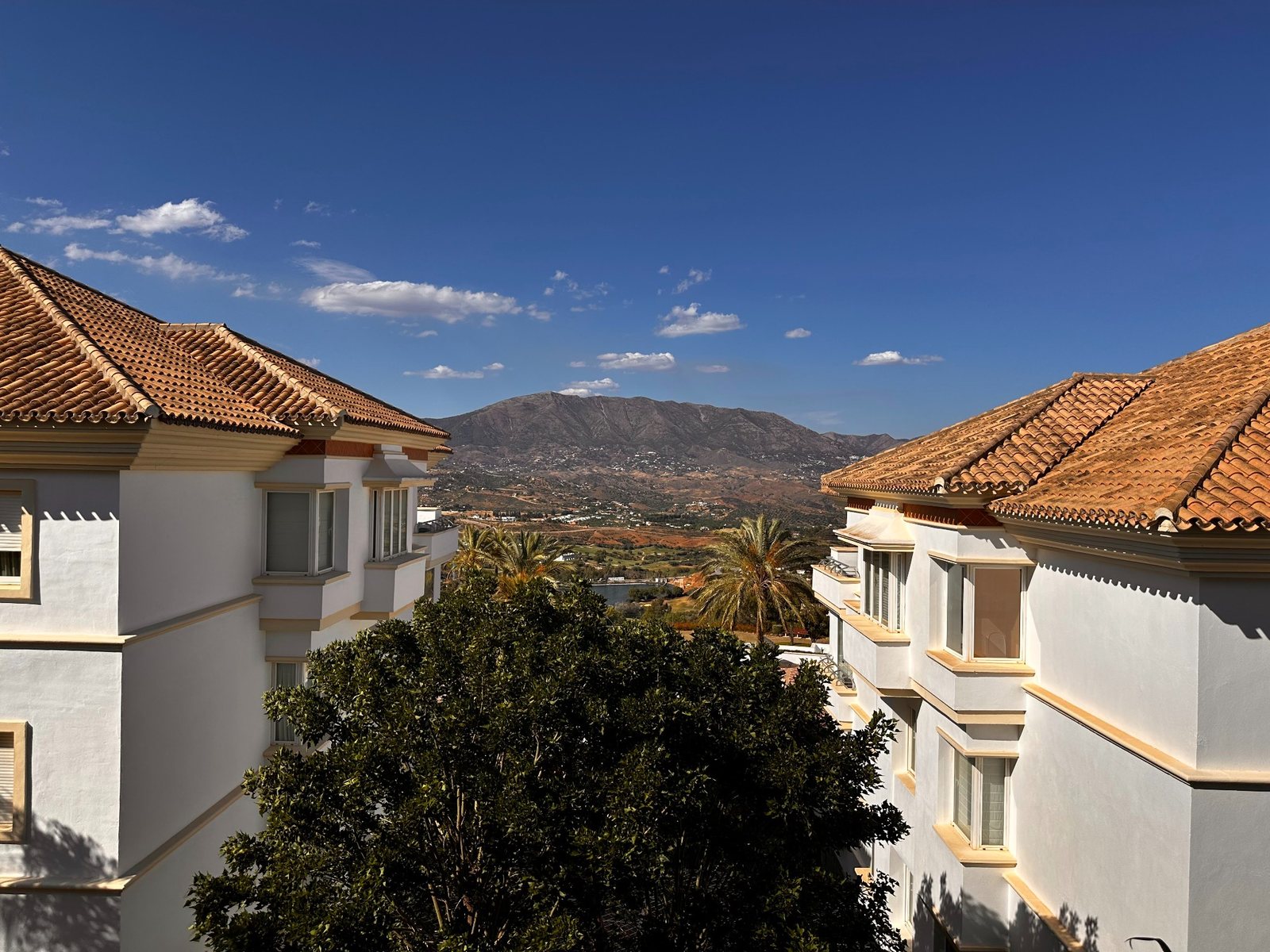 Spain Exposes Fake Pareja de Hecho Network Linked to Residency Applications